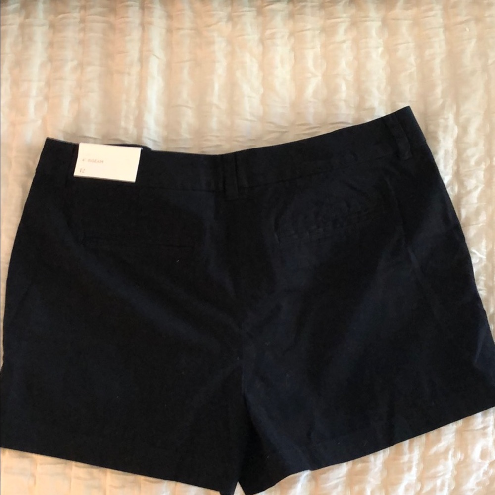 NWT LOFT shorts